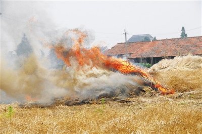 焚燒秸稈造成煙霧彌漫 焚燒秸稈造成煙霧彌漫