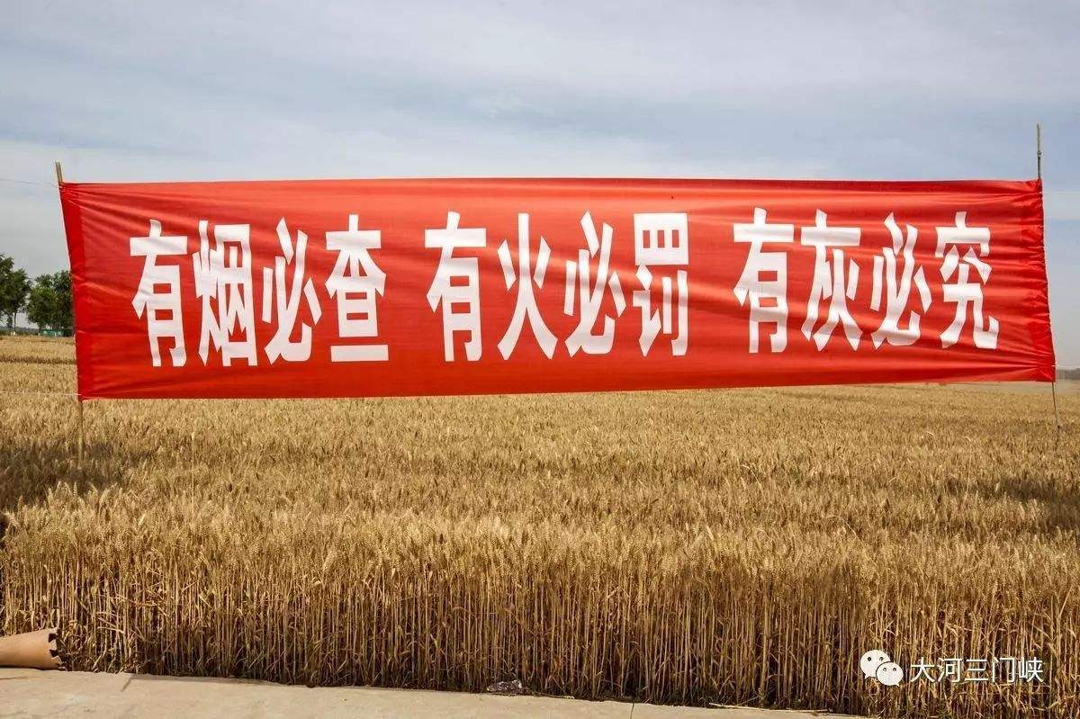 政府頒布禁燒令 政府頒布禁燒令