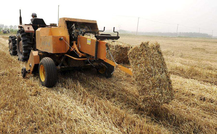 生物質(zhì)資源進(jìn)行有效開發(fā)利用 生物質(zhì)資源進(jìn)行有效開發(fā)利用