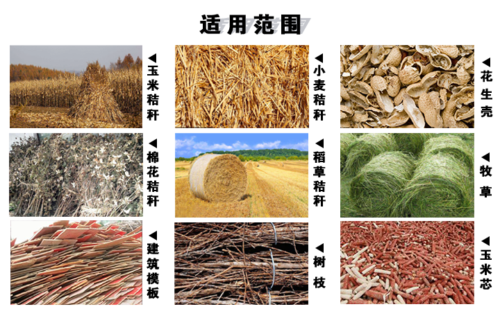 木屑秸稈顆粒機(jī)適用于農(nóng)村廢棄物 木屑秸稈顆粒機(jī)適用于農(nóng)村廢棄物