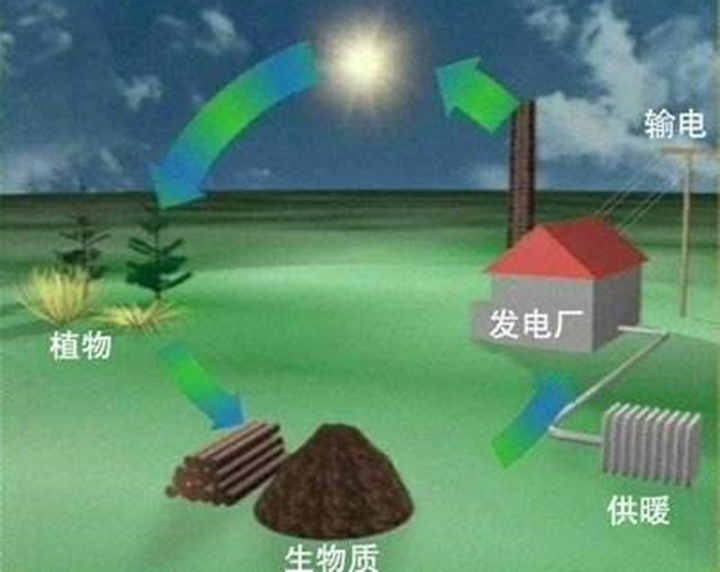 生物質能.jpg